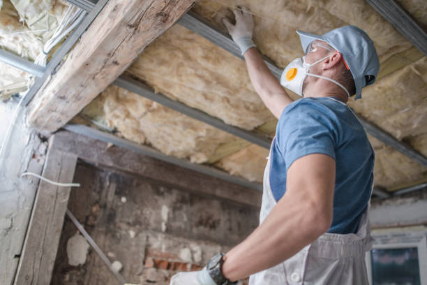 Best Home Insulation Services  in Coing, AL